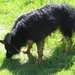 jethro 29-04-2008