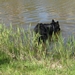 jethro 29-04-2008