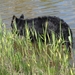 jethro 29-04-2008