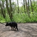 jethro 3-05-2008