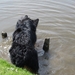 jethro 3-05-2008