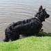 jethro 3-05-2008