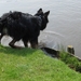 jethro 3-05-2008
