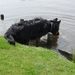 jethro 3-05-2008