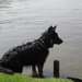 jethro 3-05-2008