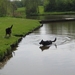 jethro 3-05-2008