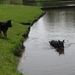 jethro 3-05-2008
