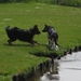 jethro 3-05-2008