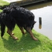 jethro 3-05-2008