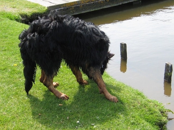 jethro 3-05-2008