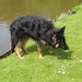 jethro 3-05-2008