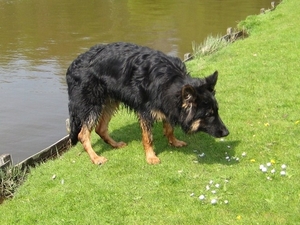 jethro 3-05-2008