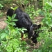 jethro 3-05-2008