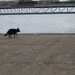jethro 30-04-2008
