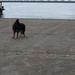 jethro 30-04-2008