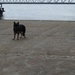 jethro 30-04-2008