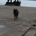 jethro 30-04-2008
