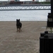jethro 30-04-2008