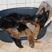 jethro 4-04-2008