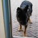 jethro 4-04-2008