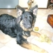 jethro 4-04-2008