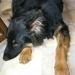 jethro 4-04-2008