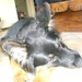 jethro 4-04-2008