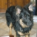 jethro 4-04-2008