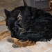 jethro 4-04-2008
