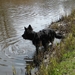 jethro 4-04-2008