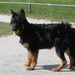 jethro 4-04-2008