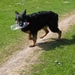 jethro 4-04-2008