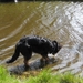 jethro 4-04-2008