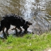 jethro 4-04-2008