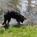 jethro 4-04-2008