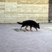 jethro 4-04-2008