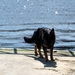 jethro 4-04-2008