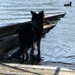 jethro 4-04-2008