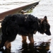 jethro 4-04-2008