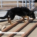 jethro 4-04-2008