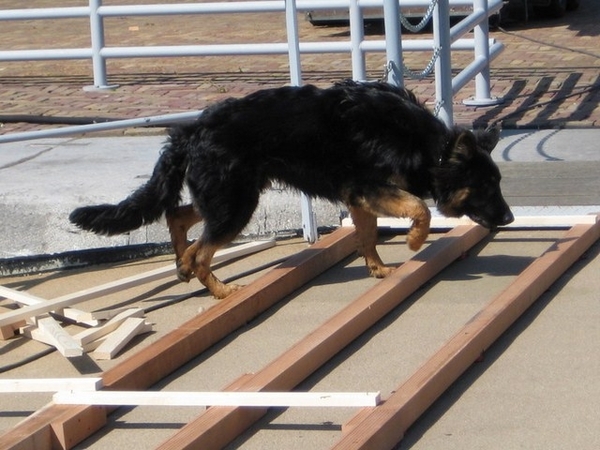 jethro 4-04-2008