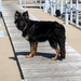 jethro 4-04-2008
