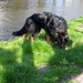 jethro 4-04-2008