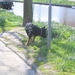 jethro 4-04-2008
