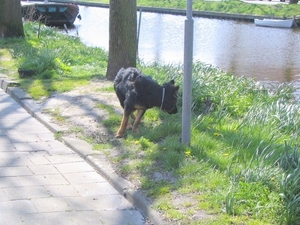 jethro 4-04-2008
