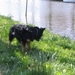 jethro 4-04-2008