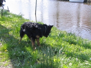 jethro 4-04-2008