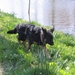 jethro 4-04-2008
