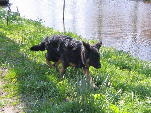 jethro 4-04-2008