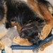 kikeboe jethro 4-04-2008